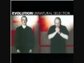 Evolution - Phoenix (Original Mix)