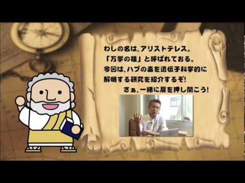 生物生命学科　千々岩先生　【J:COM「フィロソフィアの扉」】18　崇城大学