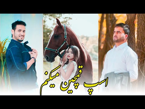 Reja Rahish ft. Ahmad Ghani Zada - Qamchin Official Audio Track