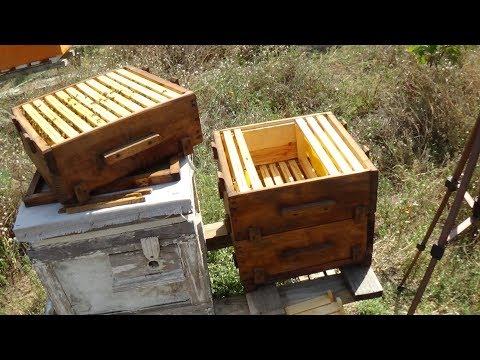 Улей-дупло ротация гнездовых рамок 22.08.2018 пасека