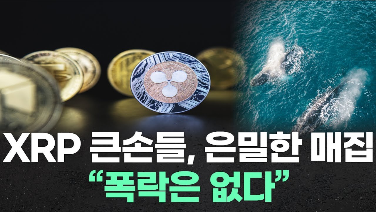 XRP 큰손들, 은밀한 매집… “폭락은 없다”