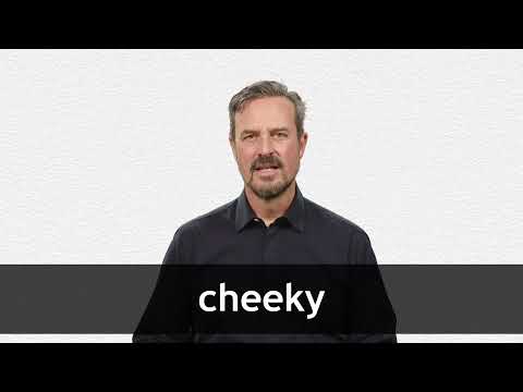 What is the right definition of cheeky? (4 Solutions!!) 
