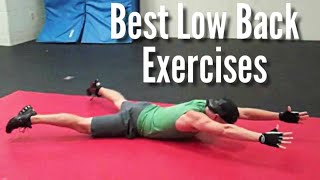 BEST Lower Back Exercises for Home - Low Back Stretches at Home