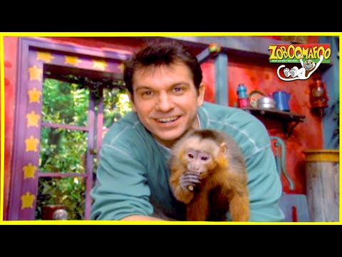 Zoboomafoo 211 - Green Creatures (Full Episode)