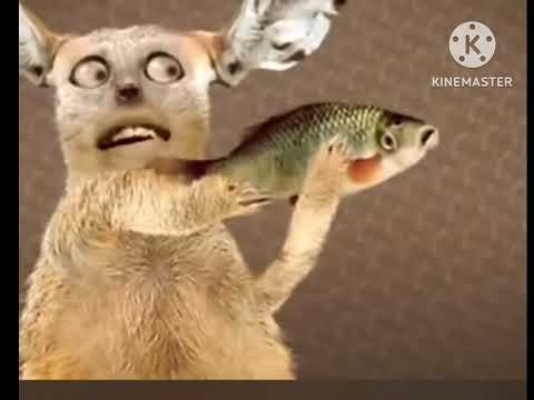 Numa Numa Cat Ukrainian Version