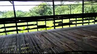 Download lagu BHG 1 ~ PROJEK TERNAKAN AYAM PEDAGING KPD, BUKAU, BEAUFORT mp3