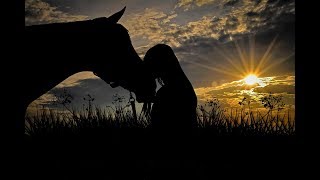 Download lagu LEO ROJAS -  Friendship mp3