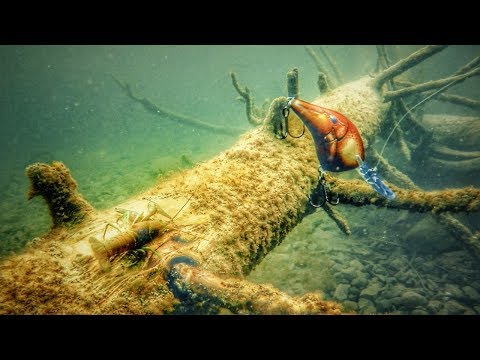 Rapala Dives-To DT06 5cm 11g LBL F