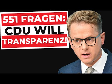 CDU gegen NGO-Milliarden: Was steckt WIRKLICH dahinter?