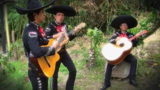 Video de Mariachi Tequila Show