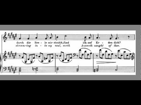 Die Mainacht accompaniment Johannes Brahms High key F#
