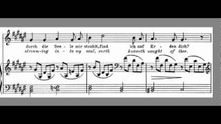 Die Mainacht accompaniment Johannes Brahms High key F#