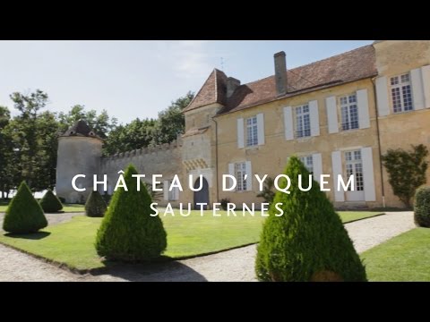 Fine Vintage Ltd. Presents James Cluer in Bordeaux-France Part 12 - Château d'Yquem