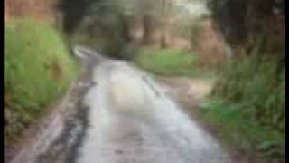 TIGER RAG - Chris Barber's Jazz Band