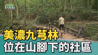 [問題] 嘉義民雄鋸樹廠商推薦