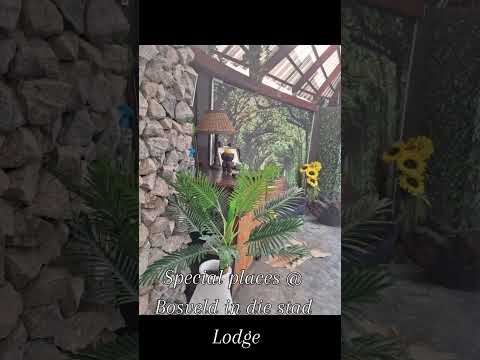 Special places at Bosveld in die stad Lodge - Alberton#Albertonguesthouse#albertonhotel