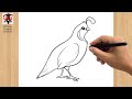How to Draw a Quail Drawing Easy Outline | Beginner's Sketch Step by Step