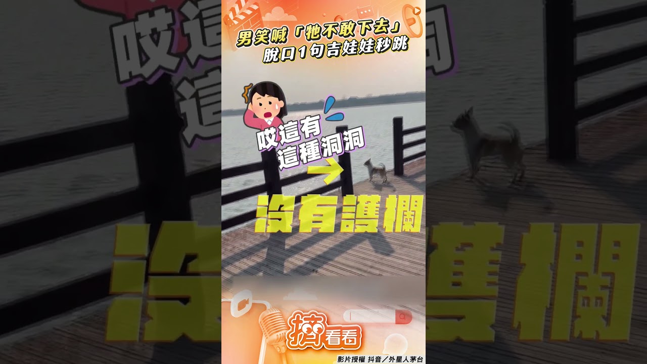 影音/吉度瘋狂!吉娃娃興奮奔向湖 男飼主笑:牠跳的話我就跳!