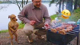 Funny DOGS videos 2024 😁🐶 New Funniest Animal Videos #30