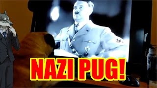 COUNTDANKULA CENSORSHIP INJUSTICE M8 Yer Dugs A Nazi