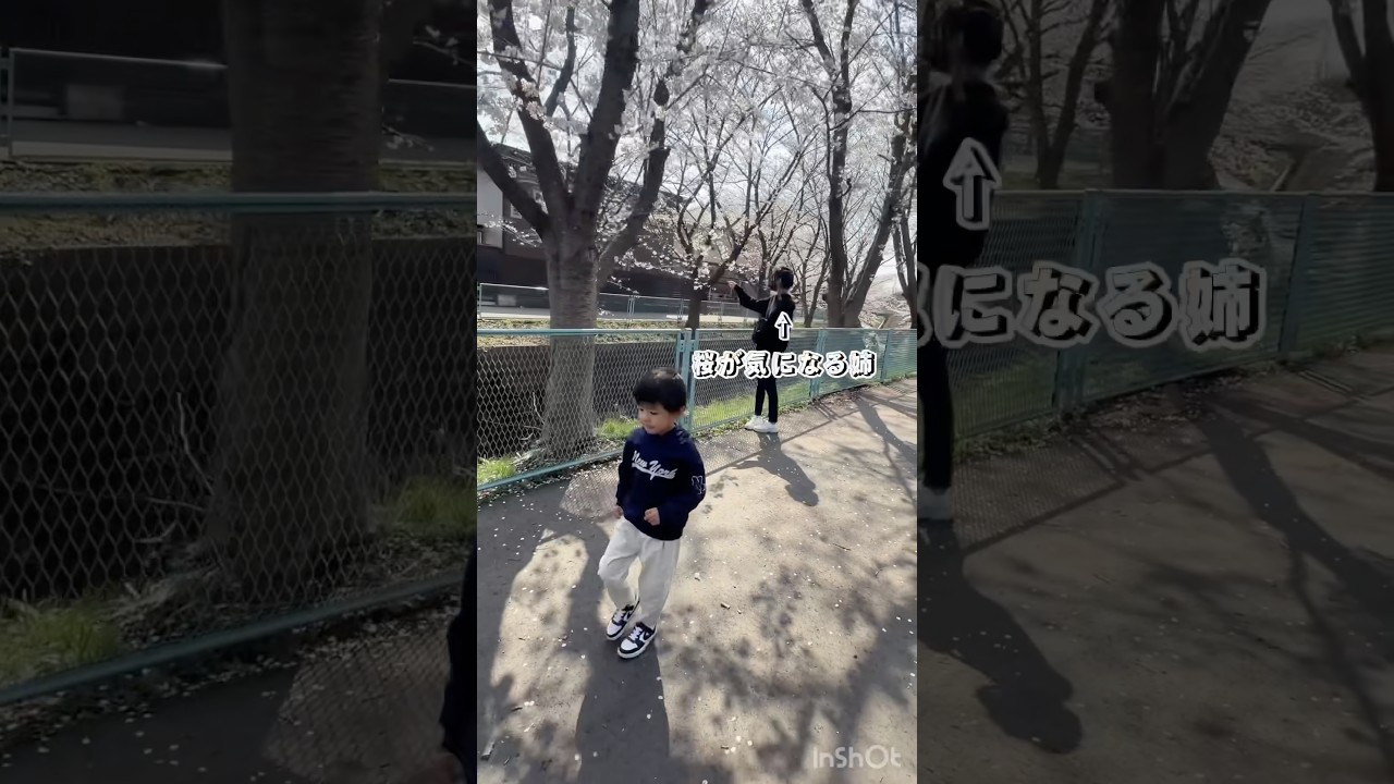 〖19歳姉 5歳弟〗春散歩🌸