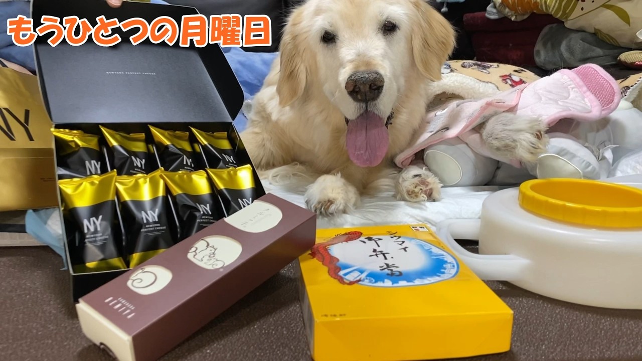 【元気】な姿をお届けです。ミラクルはっち、15歳になっても食欲旺盛なお嬢ちゃんです。