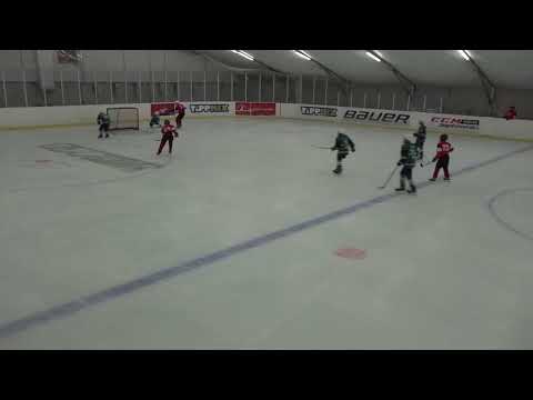 U14 FTC-Kárpáti Farkasok 2025.08.22.