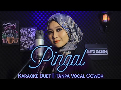 PINGAL Karaoke Duet Tanpa Vocal Cowok ||  Denny Caknan / Guyon Waton || Voc. Mintul #DuetinAja