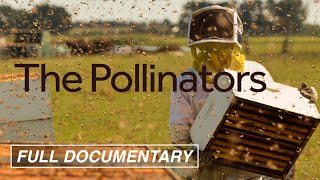 The Pollinators (FULL MOVIE) Bees, Food Supply, Environment | Award-Winning Documentary