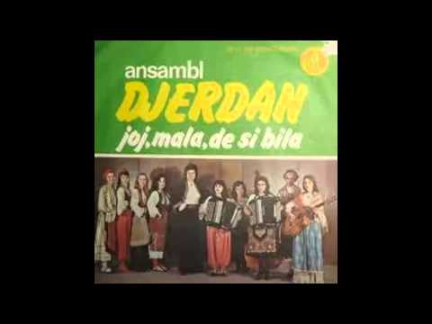 Djerdan - Joj mala gde si bila - (Audio 1977) HD