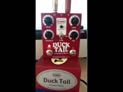 DUCK TAIL delay by Sylvestre ETIENNE