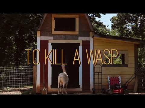 TO KILL A WASP - comedy short film