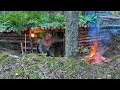 Building a shelter to survive in forest  Bushcraft camping  Without tent and sleeping bag
