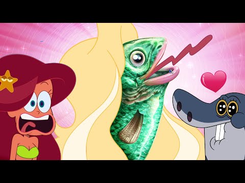 Zig & Sharko | THE SIRENS (S03E30) New Episodes in HD