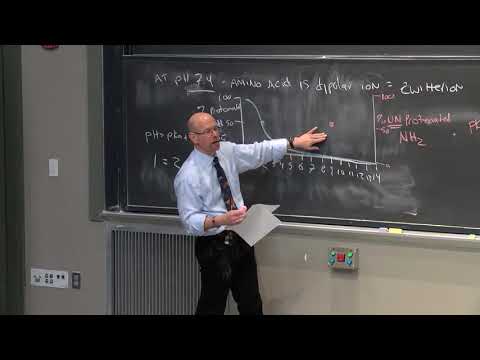 L4 Titration of Amino Acids