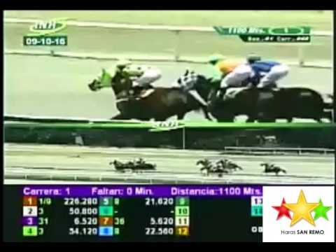 LA RINCONADA 1 CARRERA, DOMINGO 09 DE OCTUBRE DEL 2016