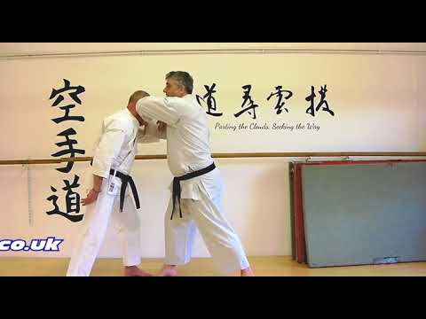 mawashi empi Bunkai Strategies 2018 week 15 koryu karate oyo jutsu