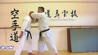 mawashi empi Bunkai Strategies 2018 week 15 koryu karate oyo jutsu