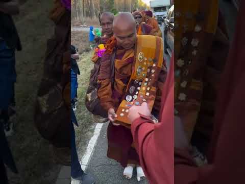 Buddhist monks walk for peace.