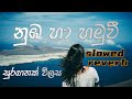 DILU Beats Numba Ha Suraganak Wilasa Slowed Reverb