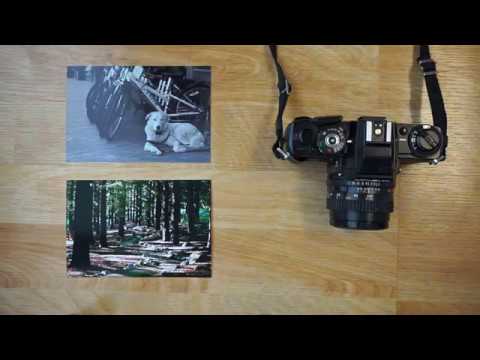 download lagu mp3 mp4 Buy 35mm Film Online, download lagu Buy 35mm Film Online gratis, unduh video klip Buy 35mm Film Online