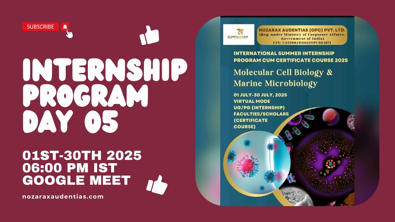 Internship Programme Day 5