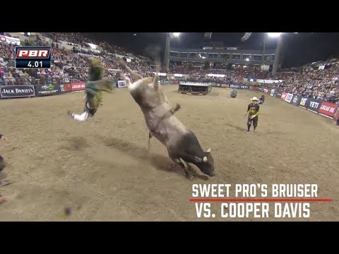 Bruiser Takes Down Two World Champions in Billings | 2019 Billings