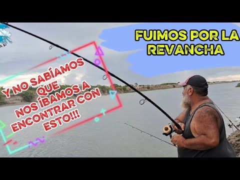 Tremenda pesca de monstruos en CANAL 15 CASTELLI 