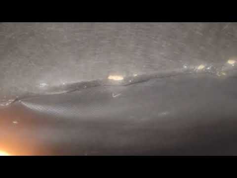 Massive Bed Bug Infestation in Couch in Sea Girt, NJ