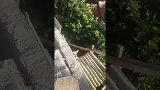 Download lagu 27 Juli 2022 mp3 Download lagu 27 Juli 2022 mp3