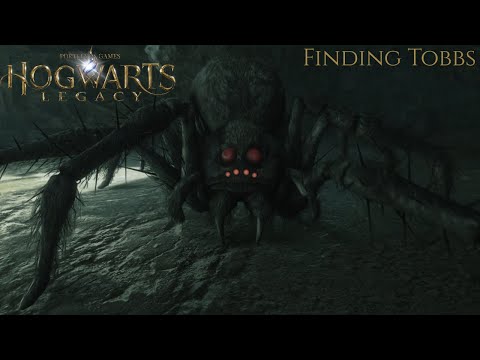 This Spider Is TERRIFYING | Hogwarts Legacy searching Tobbs