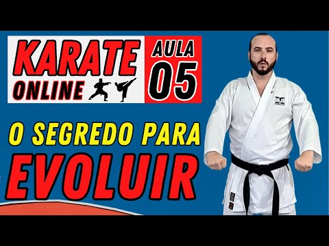 KARATE ONLINE | Aula 05: TÉCNICAS PRINCIPAIS DO KARATE