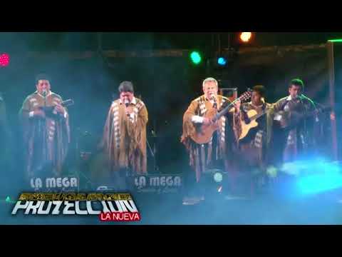 PROYECCION CONCIERTO PUNO - A QUE VOLVISTE - SAMBOS DE CORAZON