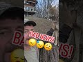 DÍA TRISTE Weavethecoyote Coyote Duckholliday Perro Cachorro Pitbull Gato Lindo Ani